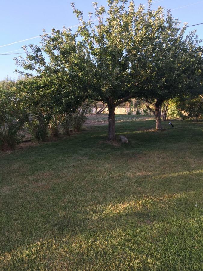 Villa Pelagia Svoronata Dış mekan fotoğraf