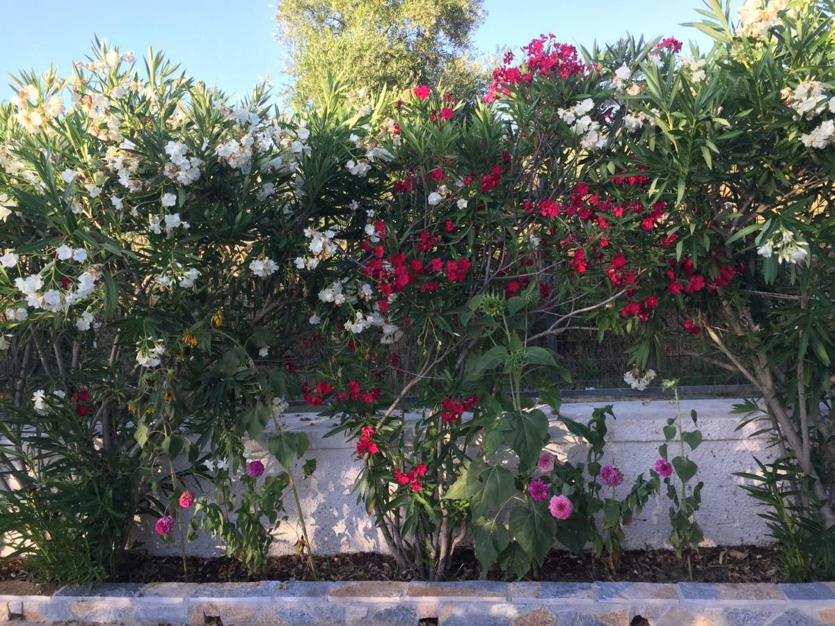 Villa Pelagia Svoronata Dış mekan fotoğraf